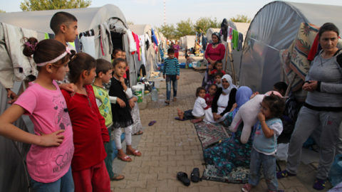 Sylvie Jan : « Les Kurdes ? Plus une question : une réponse » | Kobane en Octobre 2014 | Journal des Activités Sociales de l'énergie