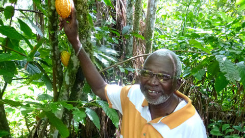 La CMCAS Guyane fait son marché… solidaire | Journal des Activités Sociales de l'énergie | papaye