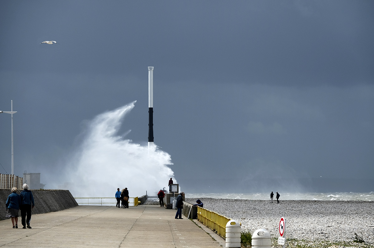 [En images] Le Havre, ville sans limites | pf lehavre 9 | Journal des Activités Sociales de l'énergie