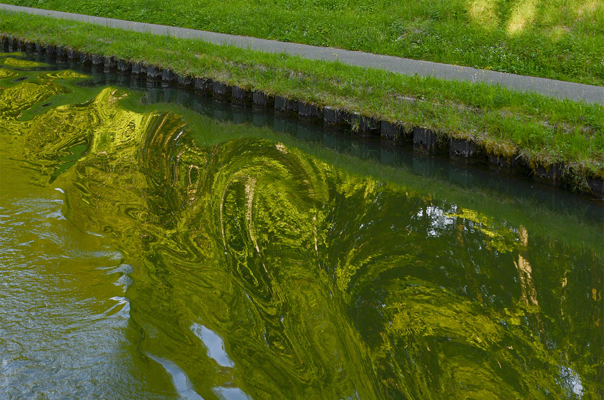 [En images] Sur le canal, de la Marne au Rhin | 22764 Effet graphique paysage reflete dans leau | Journal des Activités Sociales de l'énergie