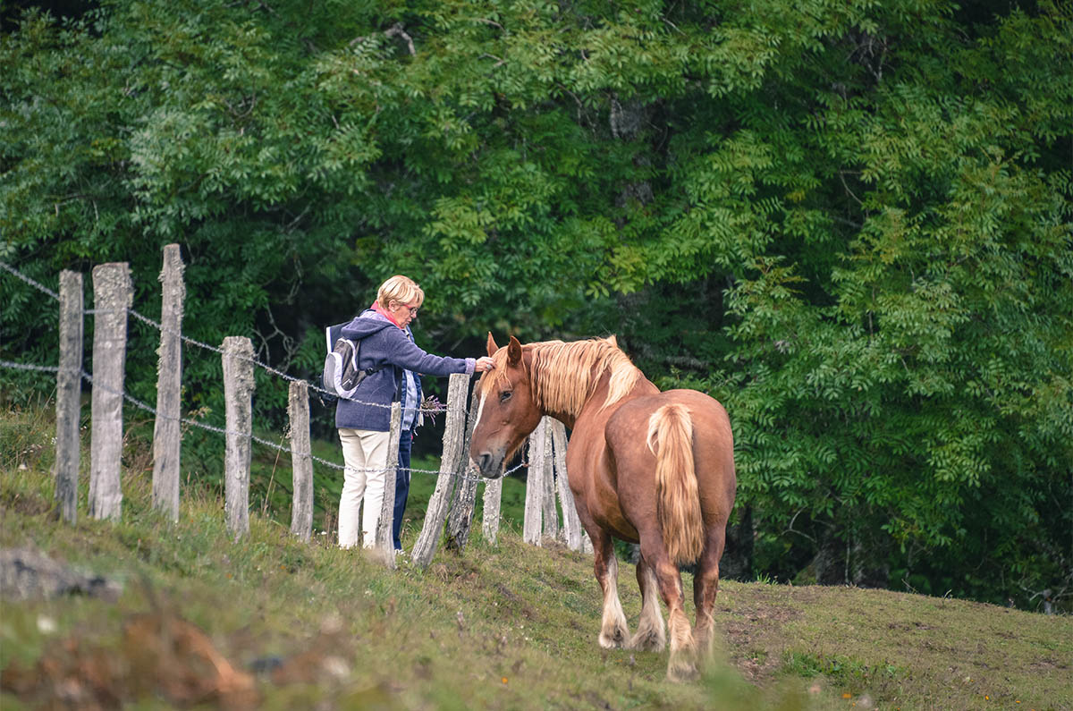 [En images] Mauricette et ses amis, une belle histoire | 34141 Nicole cheval pre lac de Laspialade Saint Genes | Journal des Activités Sociales de l'énergie