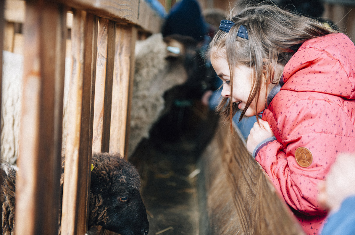 [En images] Les 4-8 ans à l'aventure à la ferme de Paillac | 44455 CCAS Ferme pegadogique de Paillac | Journal des Activités Sociales de l'énergie