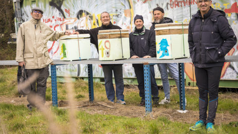 À Valence, des ruches pour sauver les abeilles | 47008 Section apicole de la CMCAS Valence au Domaine des Roches | Journal des Activités Sociales de l'énergie