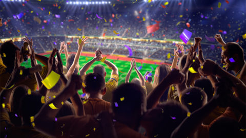 Coupe du monde 2018 : le moment de vibrer | Journal des Activités Sociales de l'énergie | 52602 Fans on stadium game