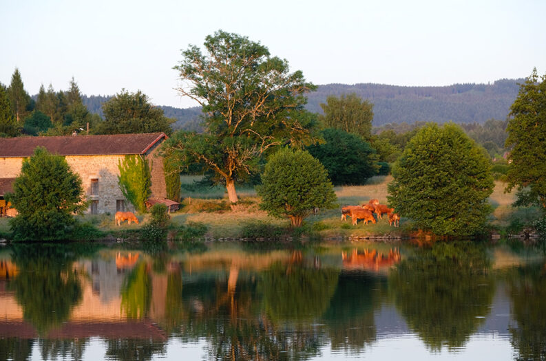 Une balade autour du lac de Vassivière | 27586 Peyrat le chateau en Limousin Ete | Journal des Activités Sociales de l'énergie