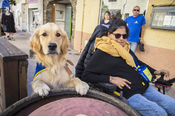 Handi'chiens à Saint-Cyprien : au cœur d’une passation de chiens d’assistance | Journal des Activités Sociales de l'énergie | 62704 Stage Handichiens a Saint Cyprien