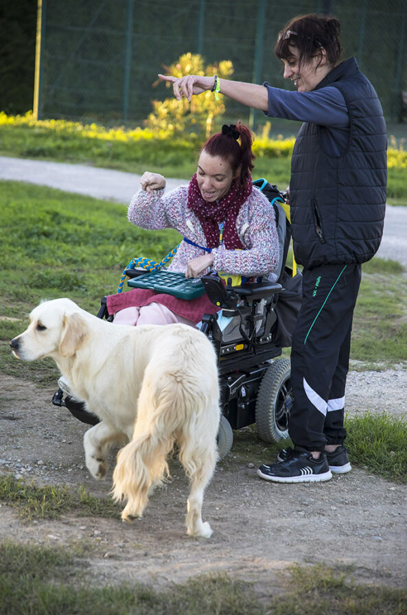 Handi'chiens à Saint-Cyprien : au cœur d’une passation de chiens d’assistance | Journal des Activités Sociales de l'énergie | 62725 Stage Handichiens a Saint Cyprien