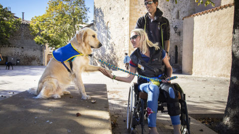 Handi'chiens à Saint-Cyprien : au cœur d’une passation de chiens d’assistance | Journal des Activités Sociales de l'énergie | 62763 Stage Handichiens a Saint Cyprien