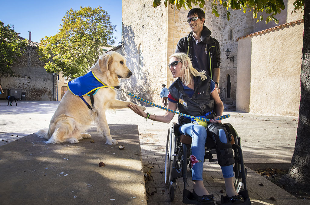 Handi'chiens à Saint-Cyprien : au cœur d’une passation de chiens d’assistance | Journal des Activités Sociales de l'énergie | 62763 Stage Handichiens a Saint Cyprien