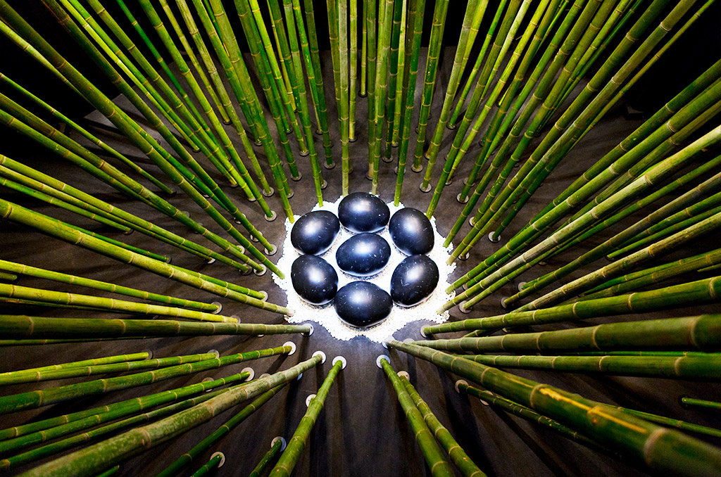"Black Bamboo" : la nature en grand format à la Fondation EDF | 87965 | Journal des Activités Sociales de l'énergie