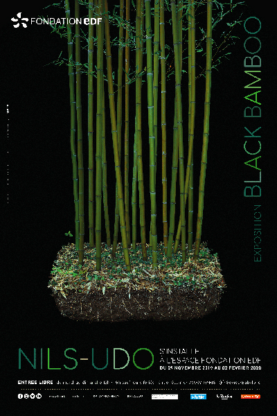 "Black Bamboo" : la nature en grand format à la Fondation EDF | Black Bamboo | Journal des Activités Sociales de l'énergie