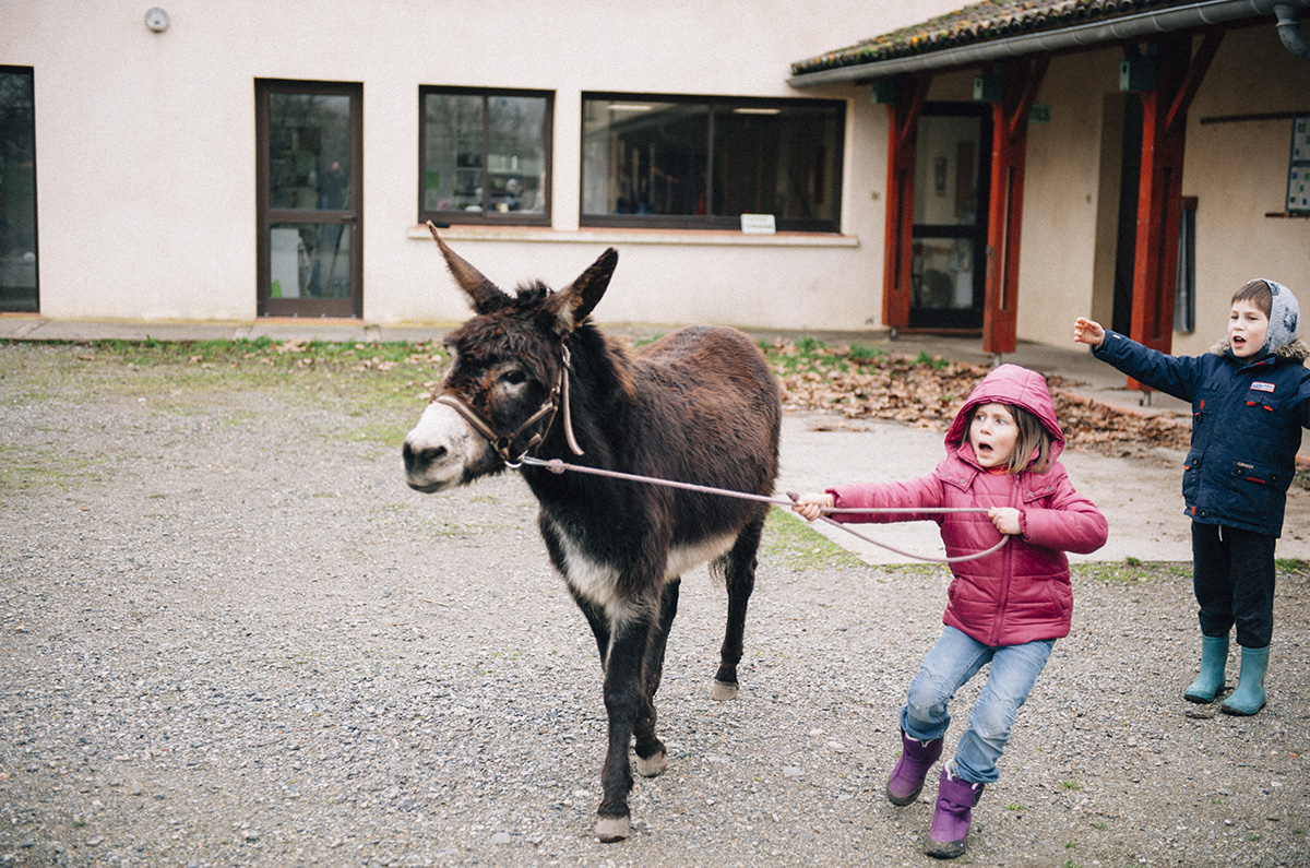 [En images] Les 4-8 ans à l'aventure à la ferme de Paillac