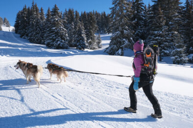 Les Saisies sans skis : quelques jours au paradis blanc | Journal des Activités Sociales de l'énergie | 100543 Les Saisies Hiver 2021