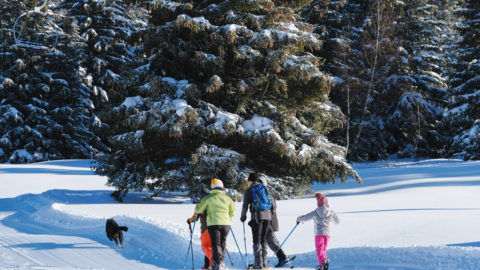 Les Saisies sans skis : quelques jours au paradis blanc | Journal des Activités Sociales de l'énergie | 100547 Les Saisies Hiver 2021