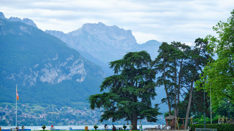 Annecy, entre lac et montagnes | Journal des Activités Sociales de l'énergie | 106661 Carnet de voyage Annecy