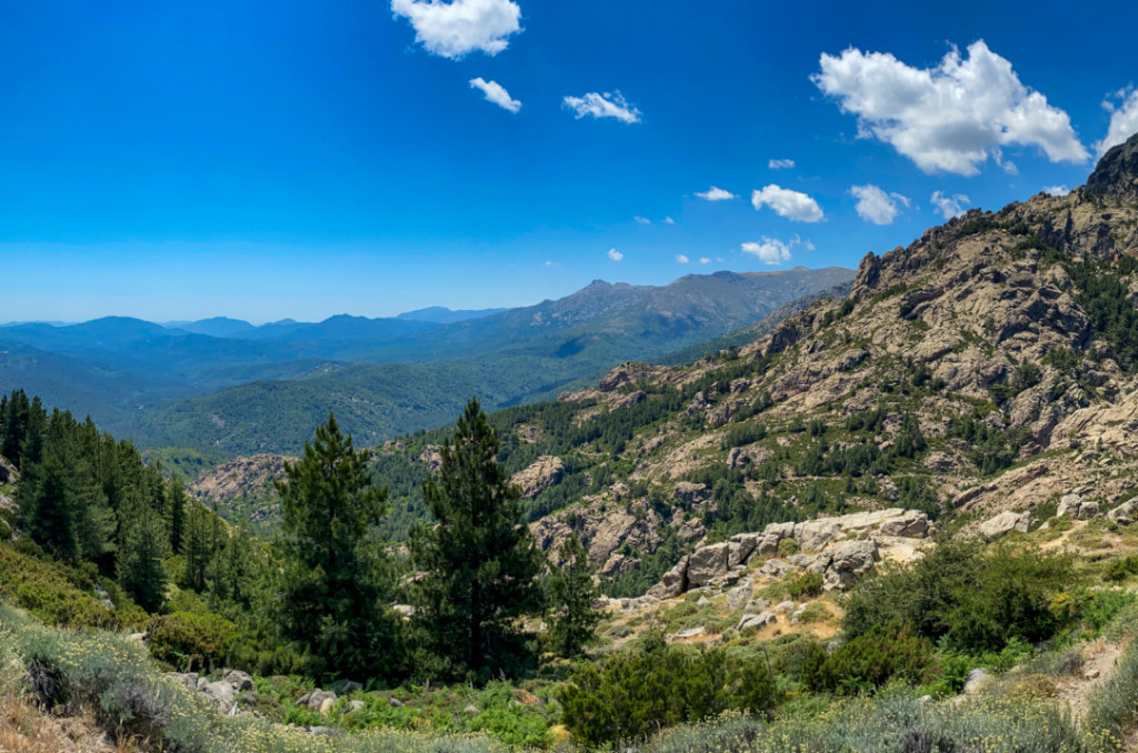 Panorama depuis la route vers Corte.