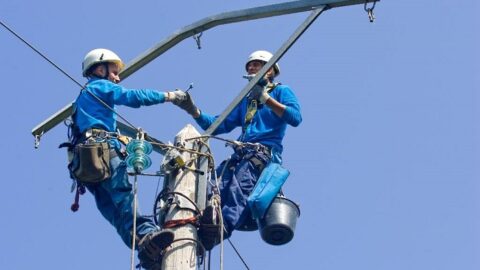 Agents EDF en intervention sur un poteau électrique.