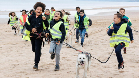 Colo CCAS cani-rando, automne 2024, Saint-Laurent-sur-Mer (Calvados).