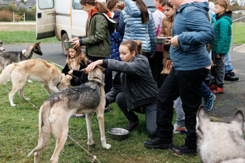 La cani-rando : en osmose avec son chien | Journal des Activités Sociales de l'énergie | 153762 Colo9 11ansCani RandoC3A0StLaurent Automne24 preview