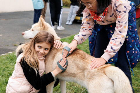 La cani-rando : en osmose avec son chien | Journal des Activités Sociales de l'énergie | 153764 Colo9 11ansCani RandoC3A0StLaurent Automne24 preview