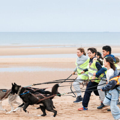 Colo CCAS cani-rando, automne 2024, Saint-Laurent-sur-Mer (Calvados).