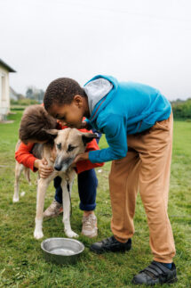 La cani-rando : en osmose avec son chien | Journal des Activités Sociales de l'énergie | 153801 Colo9 11ansCani RandoC3A0StLaurent Automne24 preview