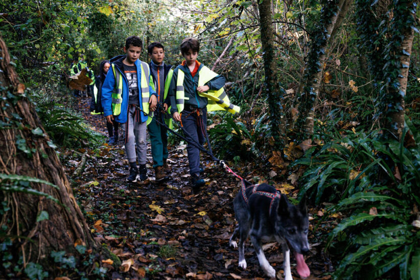 La cani-rando : en osmose avec son chien | Journal des Activités Sociales de l'énergie | 153831 Colo9 11ansCani RandoC3A0StLaurent Automne24 preview