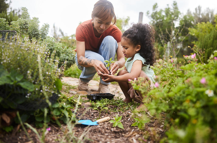 Labellisation Clé verte de 3 villages vacances de la CCAS Activités Sociales de l'énergie