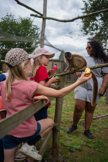 Colo petits soigneurs : des vacances pour s’occuper des animaux | Journal des Activités Sociales de l'énergie | 159886 ColoLesPetitsSoigneurs 2025