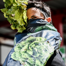 Au menu de votre été avec la CCAS : des spectacles, des rencontres littéraires, et du sport ! | Journal des Activités Sociales de l'énergie | salade1